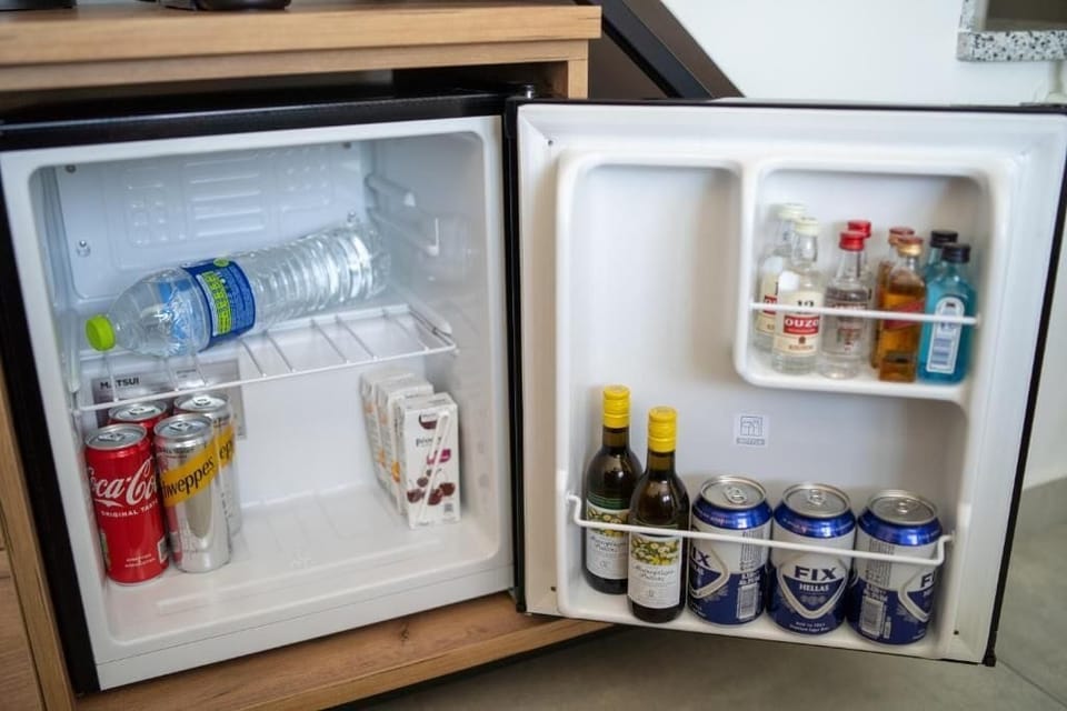 Mini-refrigerator