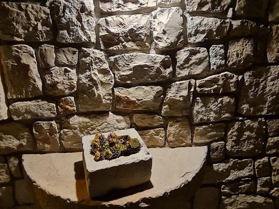 Apartment (Three Bedroom Apartment with terrace ) | Exterior