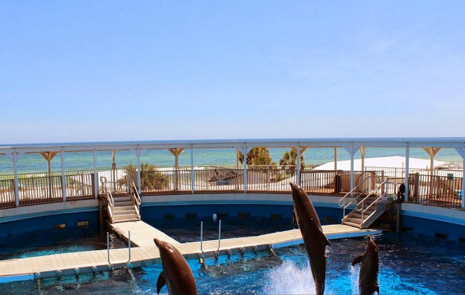 Condo, Multiple Beds (Sea Oats 712) | Pool | Outdoor pool