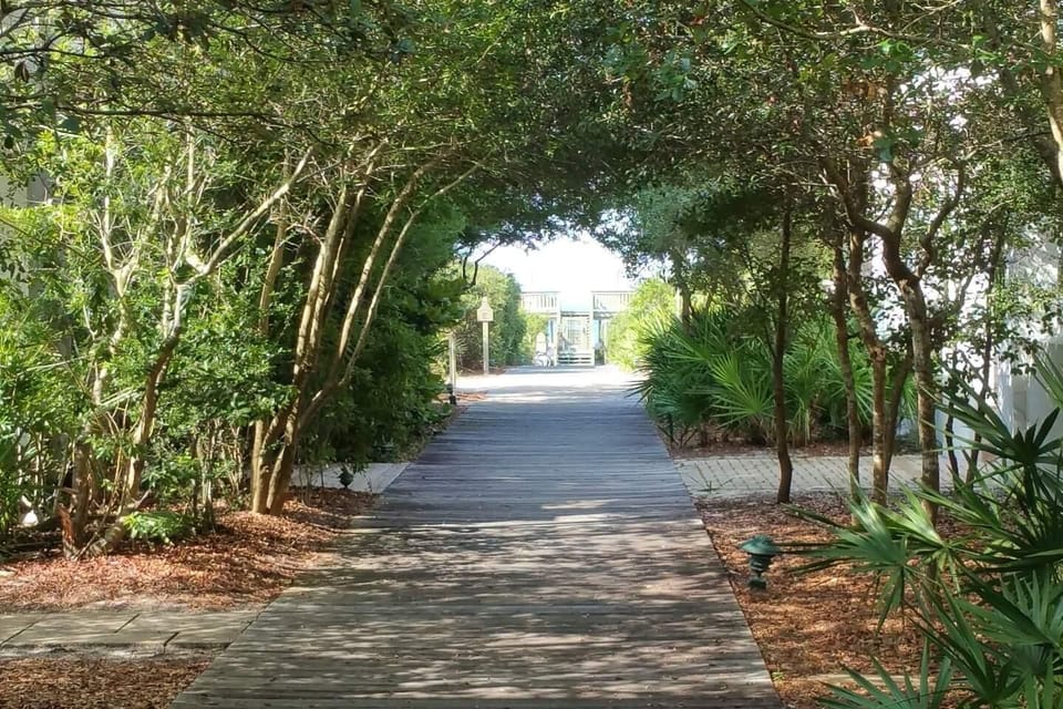 House, 1 King Bed with Sofa bed (Sunsets at Rosemary Carriage House) | Property grounds