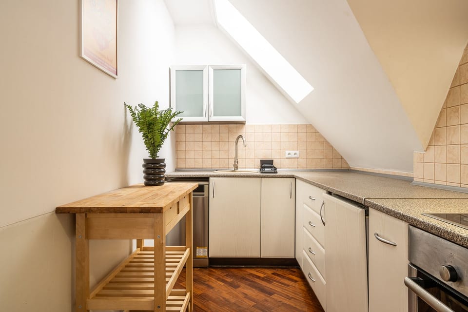Classic Apartment | Private kitchen | Fridge, oven, stovetop, dishwasher