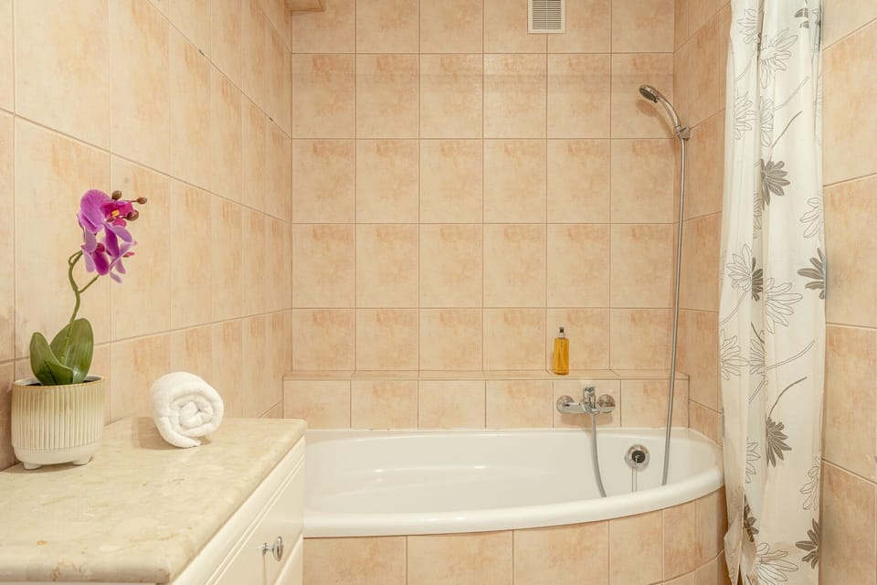 Classic Apartment | Bathroom | Bathtub, towels, soap, shampoo