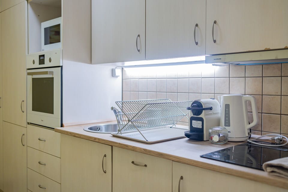 Luxury Apartment | Private kitchen | Fridge, microwave, oven, dishwasher