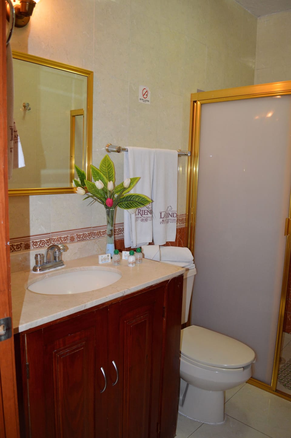 Shower, free toiletries, hair dryer, towels