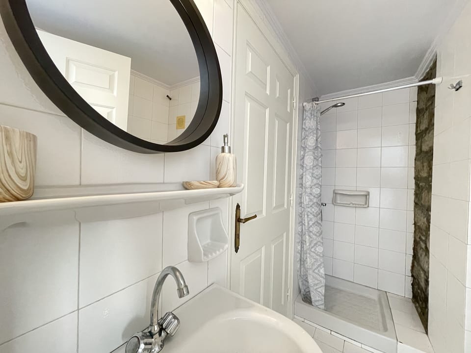 Premium Triple Room | Bathroom | Shower, hair dryer, towels