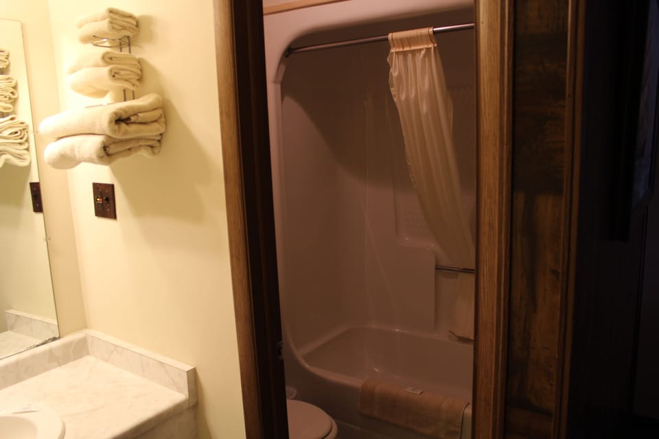 Room, 1 King Bed, Non Smoking | Bathroom | Hair dryer, towels