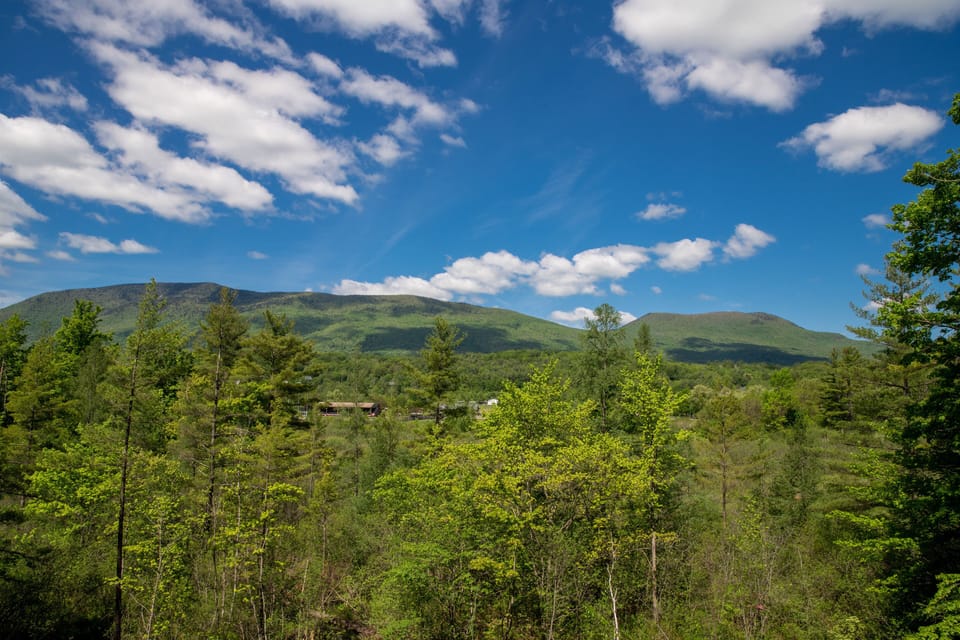 Land view from property
