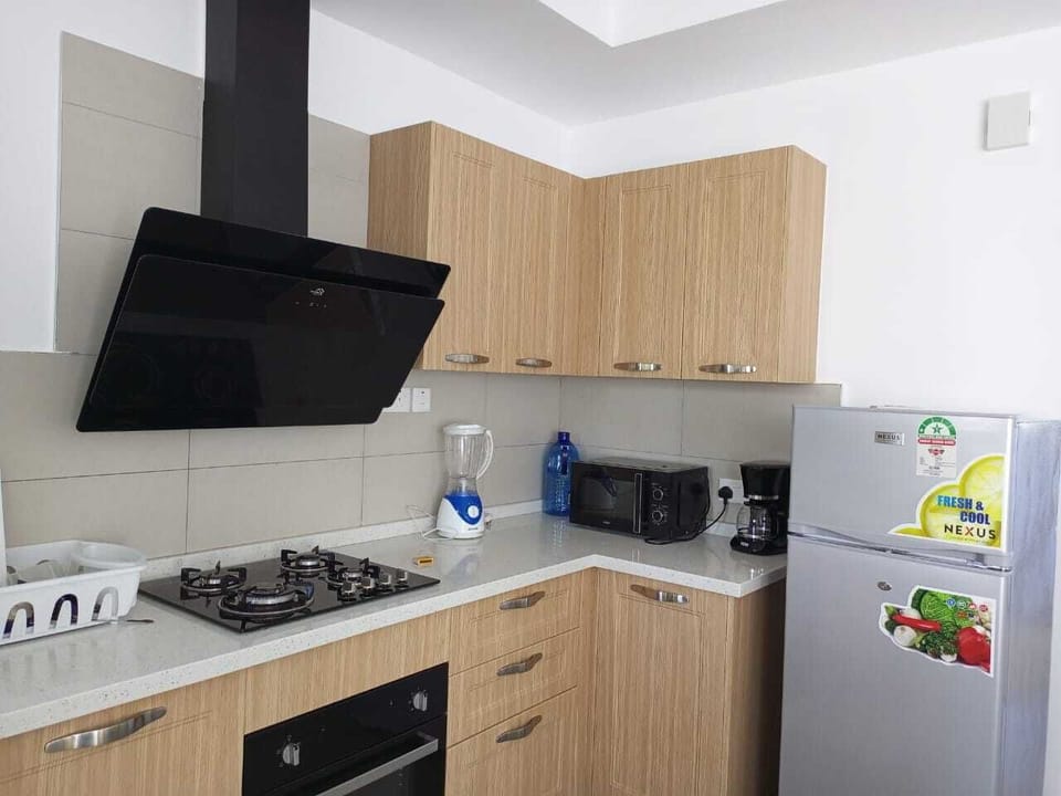 Family Apartment | Private kitchen | Fridge, microwave, cookware/dishes/utensils