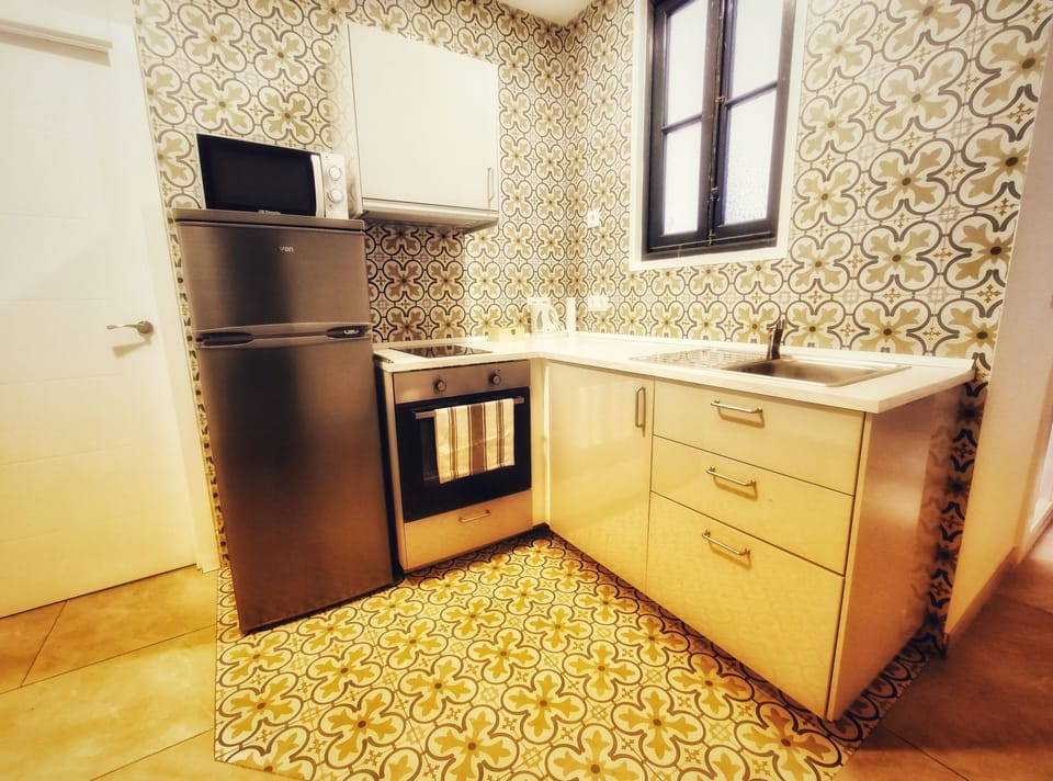 Full-size fridge, microwave, oven, electric kettle