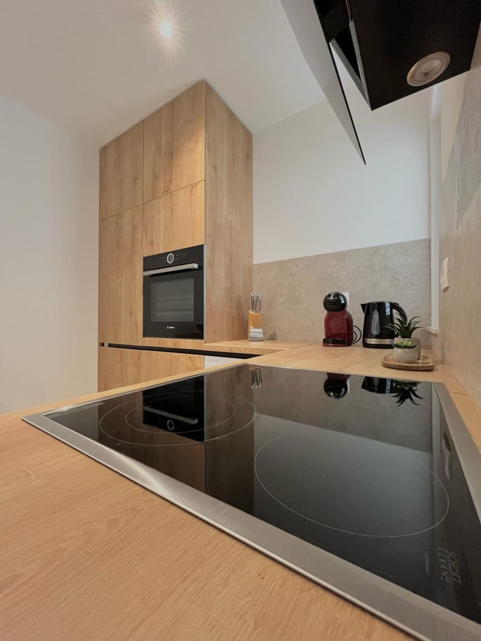 Premium Apartment | Private kitchen | Full-size fridge, oven, dishwasher, coffee/tea maker