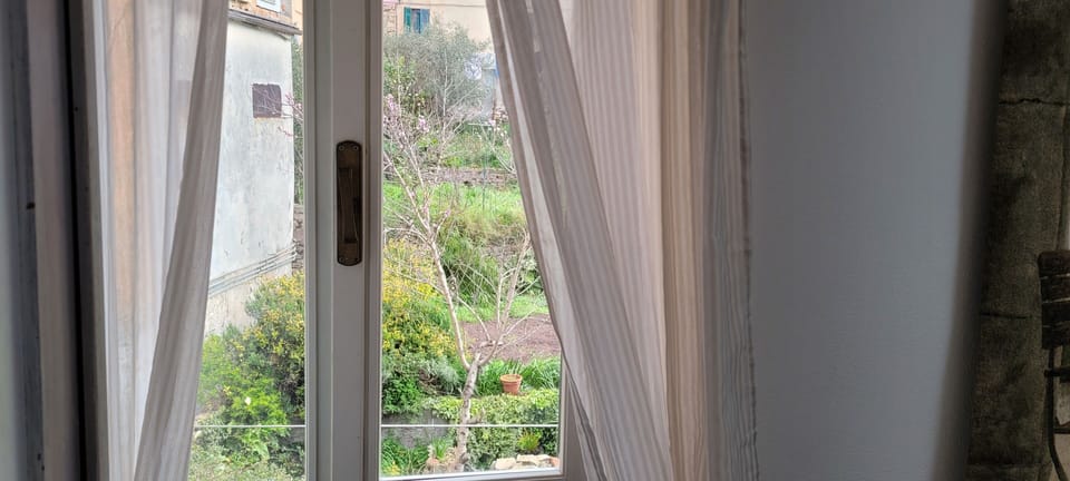 Land view from property