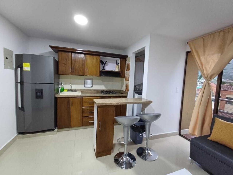 Family Apartment | Private kitchen | Fridge, blender, cookware/dishes/utensils