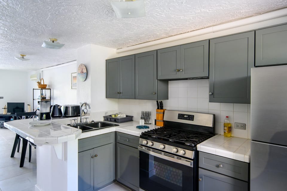 Deluxe Villa, 2 Bedrooms, Ensuite, Harbor View | Private kitchen | Full-size fridge, oven, stovetop, electric kettle