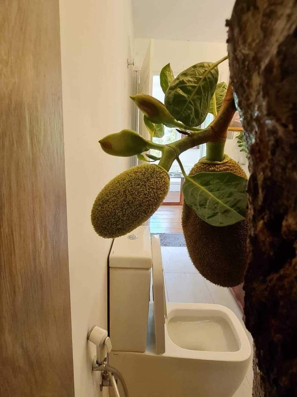 Dandubasnamanaya - Luxury Tree-Top House | Bathroom | Shower, rainfall showerhead, hair dryer, bathrobes
