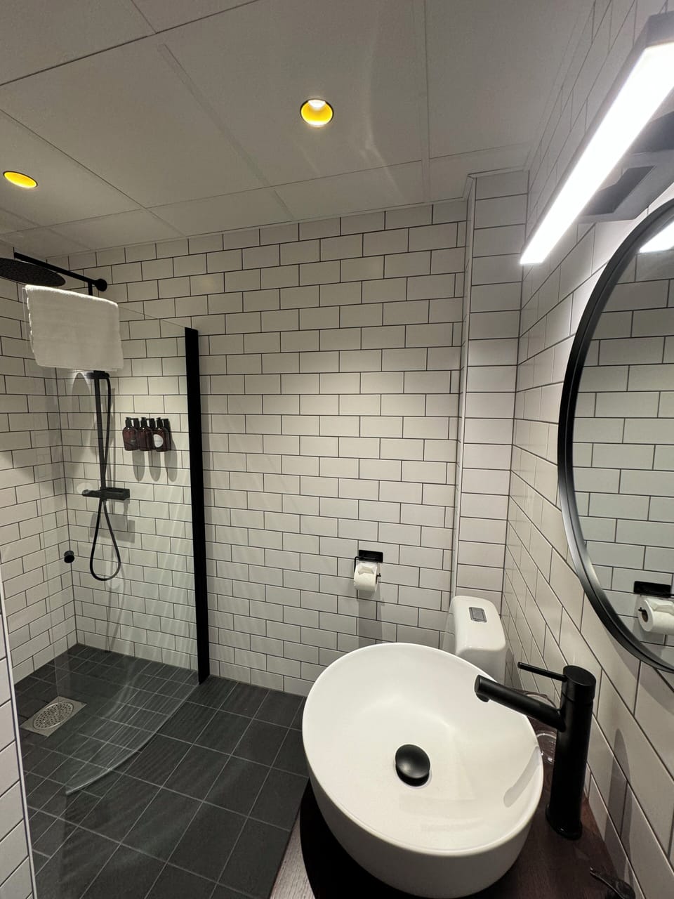 Double Room | Bathroom | Shower, rainfall showerhead, hair dryer, heated floors