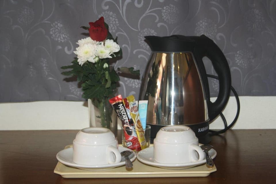 Deluxe Double Room, 1 Double Bed | Room amenity