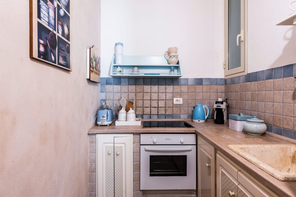 Basic Apartment | Private kitchen | Full-size fridge, oven, stovetop, toaster