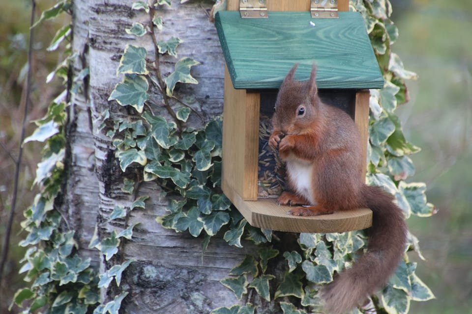 Cottage | Property grounds