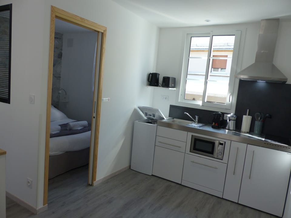 Panoramic Studio | Private kitchen | Shared fridge, electric kettle