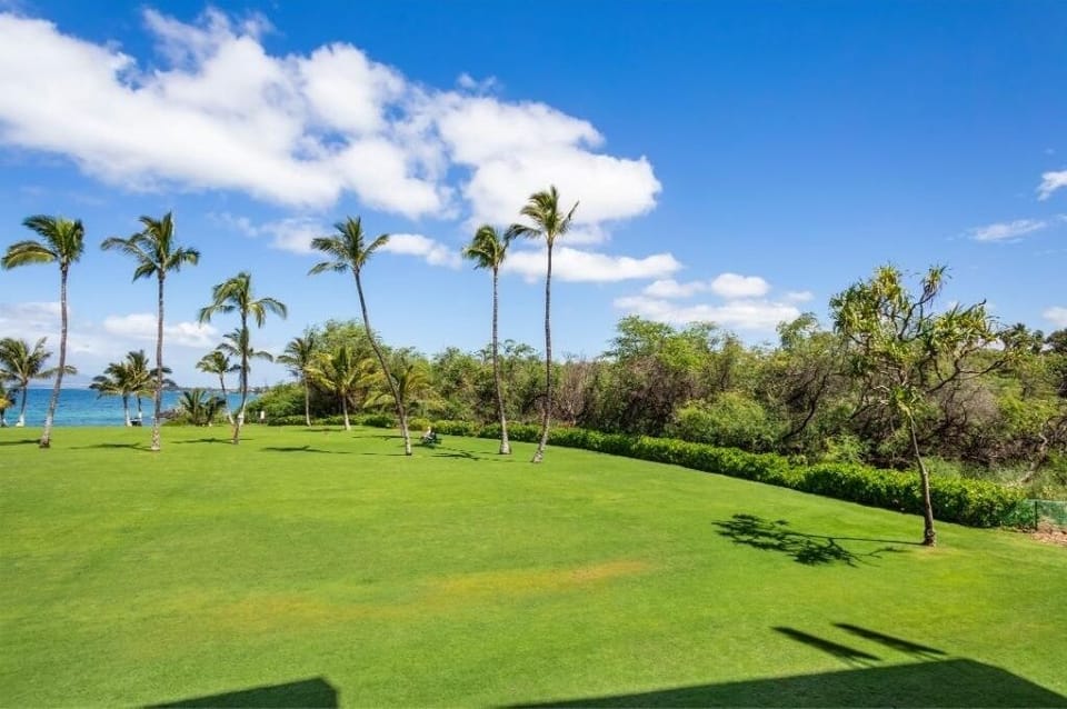 Condo, 1 Bedroom | Golf
