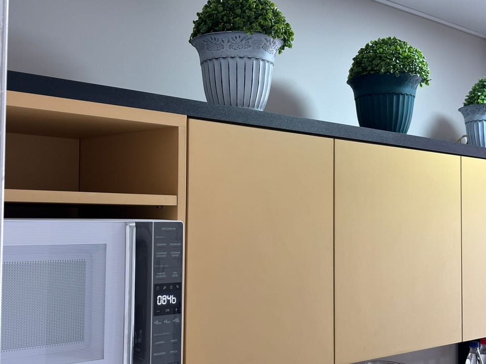 Business Studio | Private kitchen | Microwave, rice cooker, toaster oven, cookware/dishes/utensils