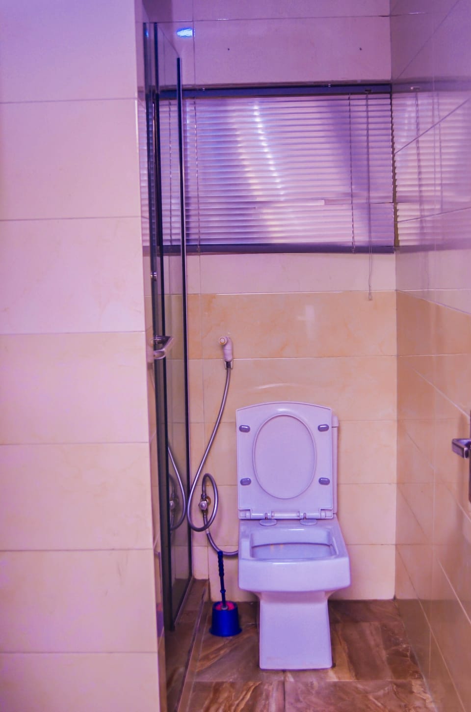 Shower, free toiletries, bidet, towels