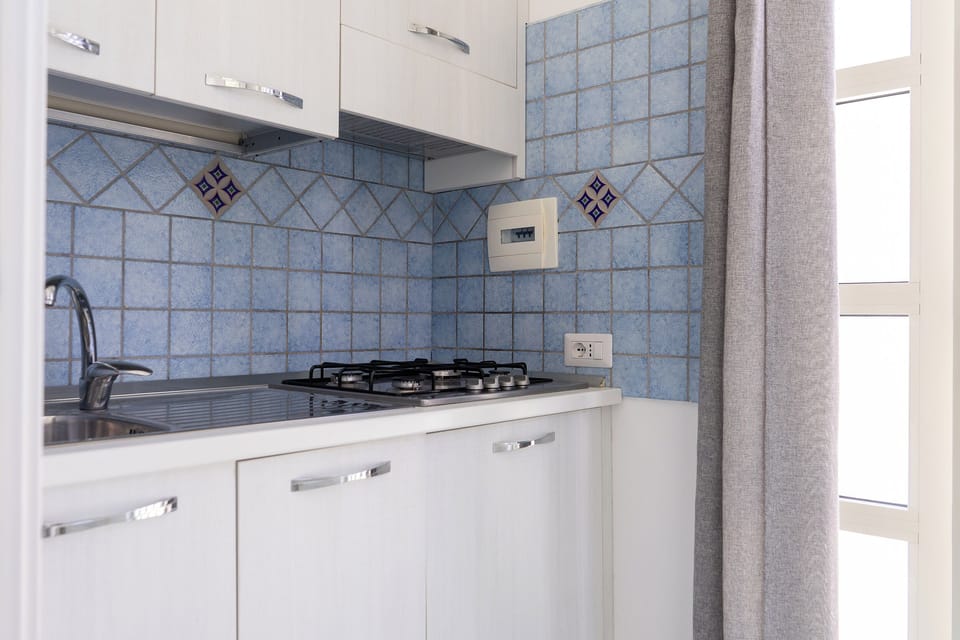 Basic Studio, Pool View | Private kitchen | Oven, stovetop, dishwasher, cookware/dishes/utensils