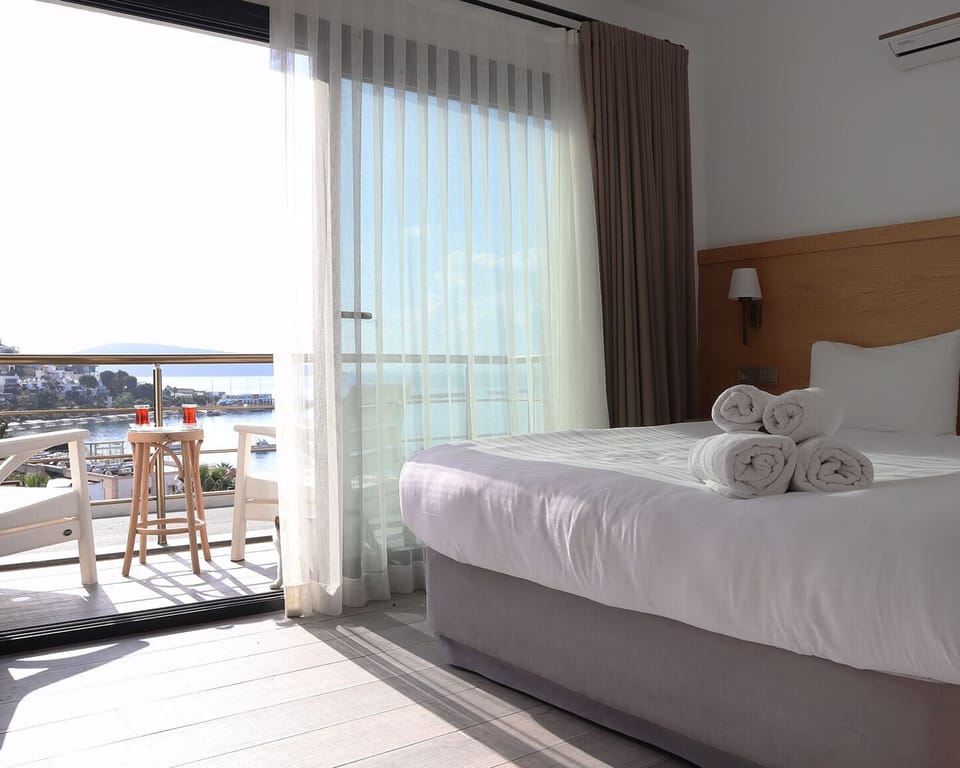 Deluxe Double Room | Desk, laptop workspace, soundproofing, WiFi (free)