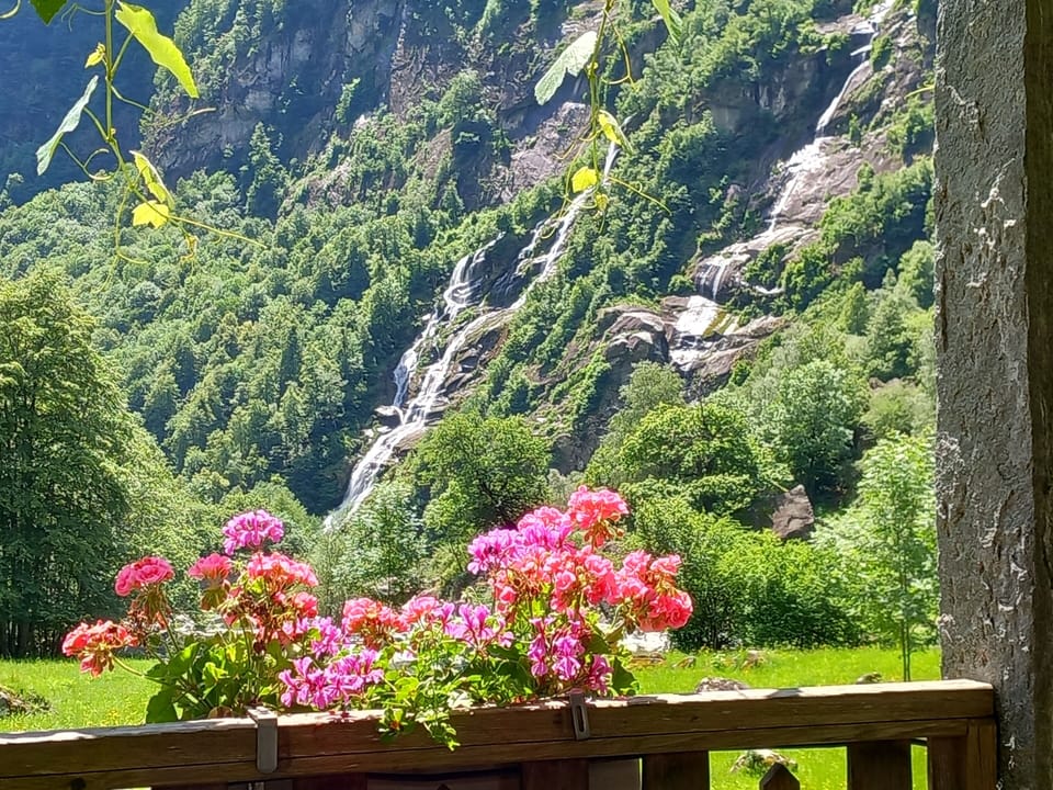 Shared Dormitory, 1 Bedroom, Garden View | Garden