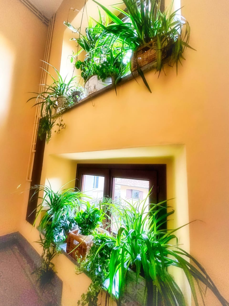 Apartment, 1 Bedroom | Interior