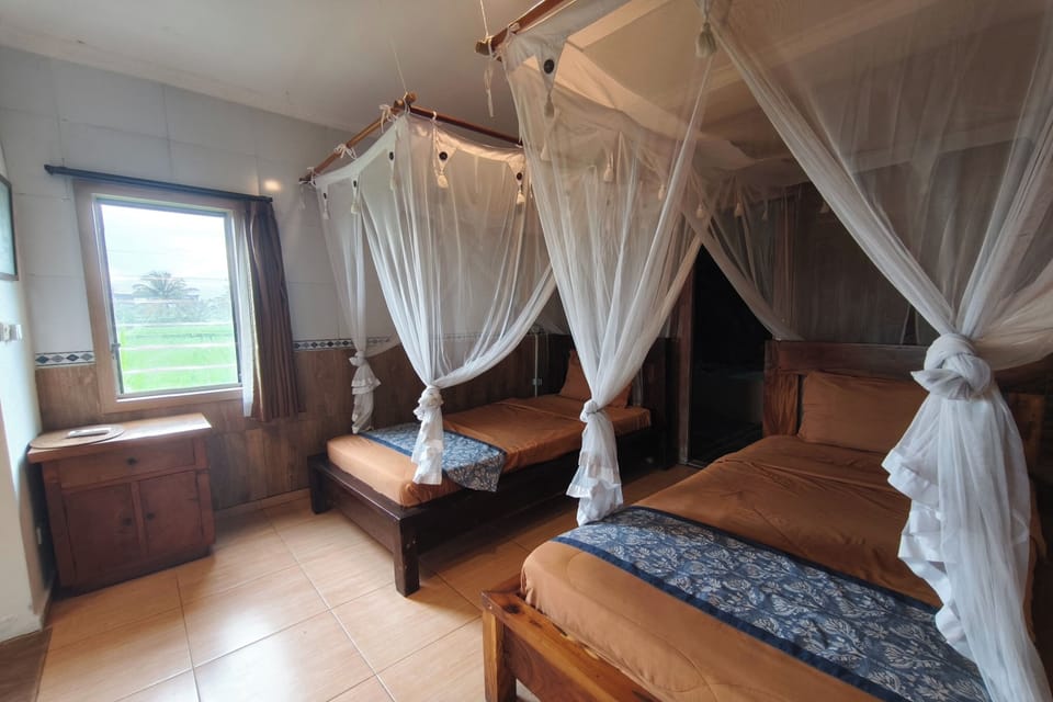 Twin Room, Terrace | Free WiFi, bed sheets