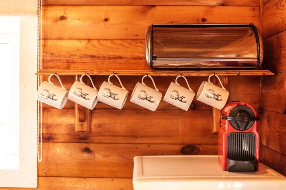 Traditional Cabin | Private kitchen | Full-size fridge, microwave, oven, stovetop