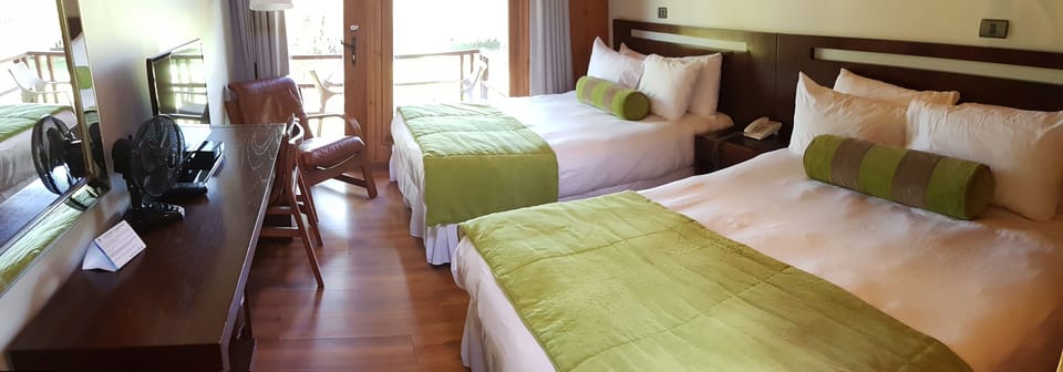 Standard Double Room, Park View | In-room safe