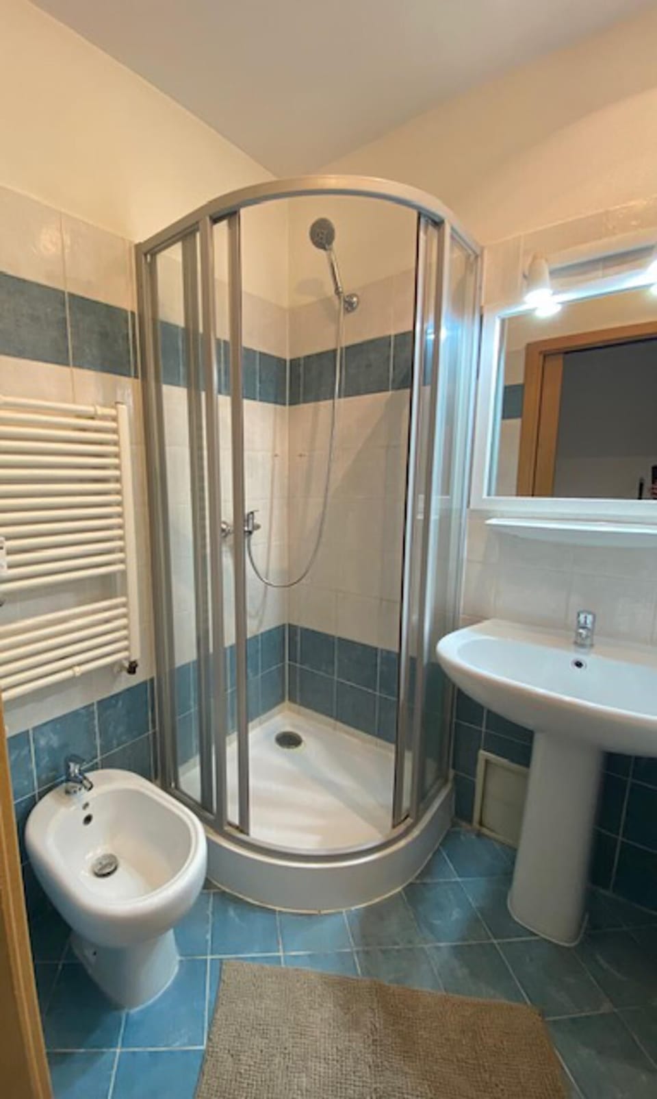 Apartment | Bathroom | Shower, hair dryer, towels, toilet paper
