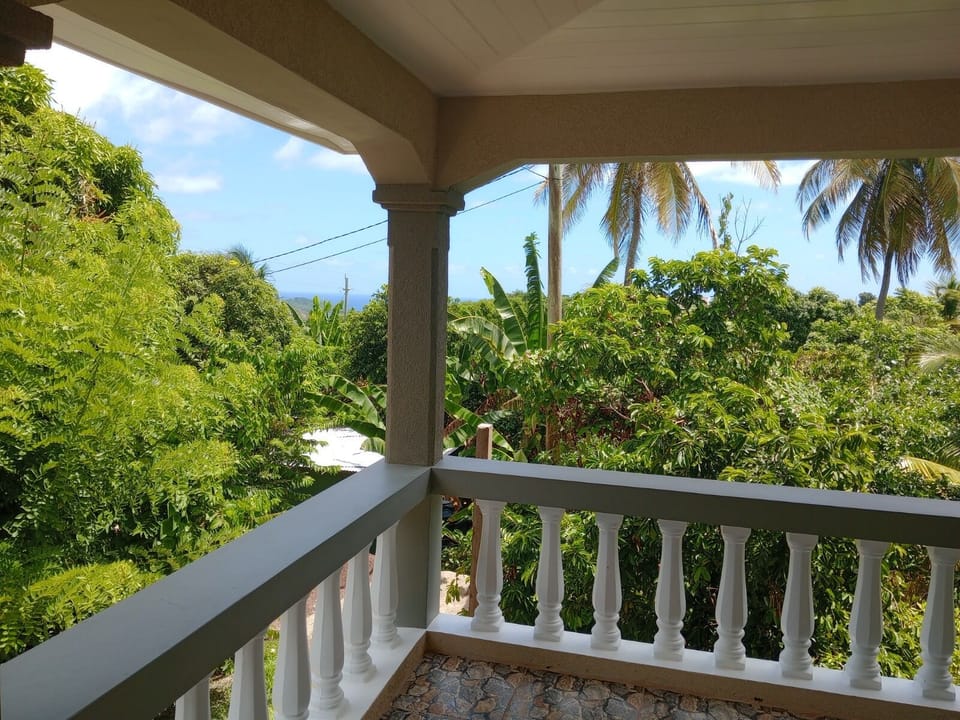 House | Property grounds