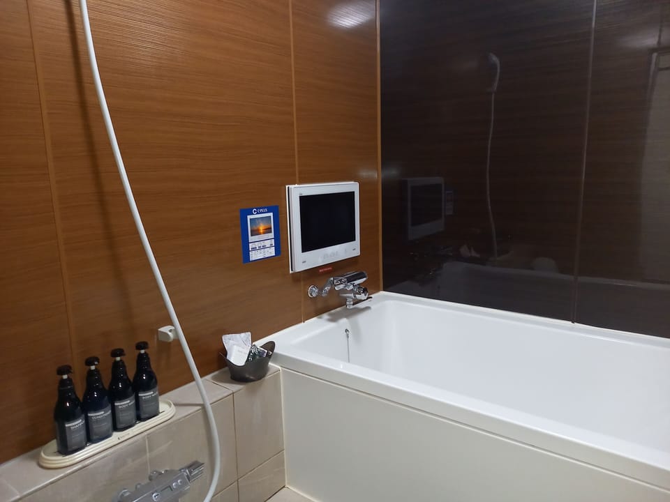 Economy Double Room | Bathroom | Separate tub and shower, free toiletries, hair dryer, bathrobes