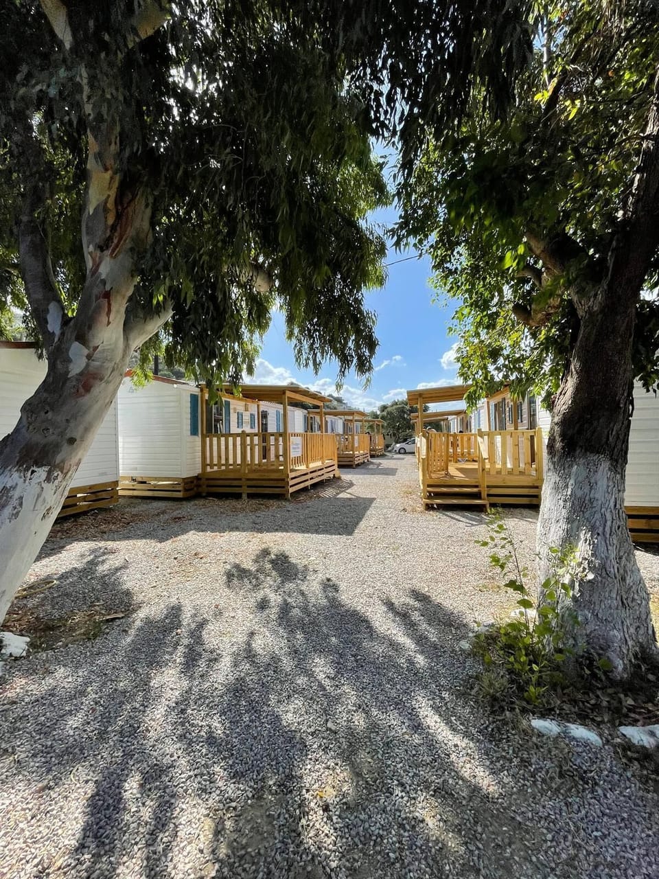Standard Mobile Home | Terrace/patio
