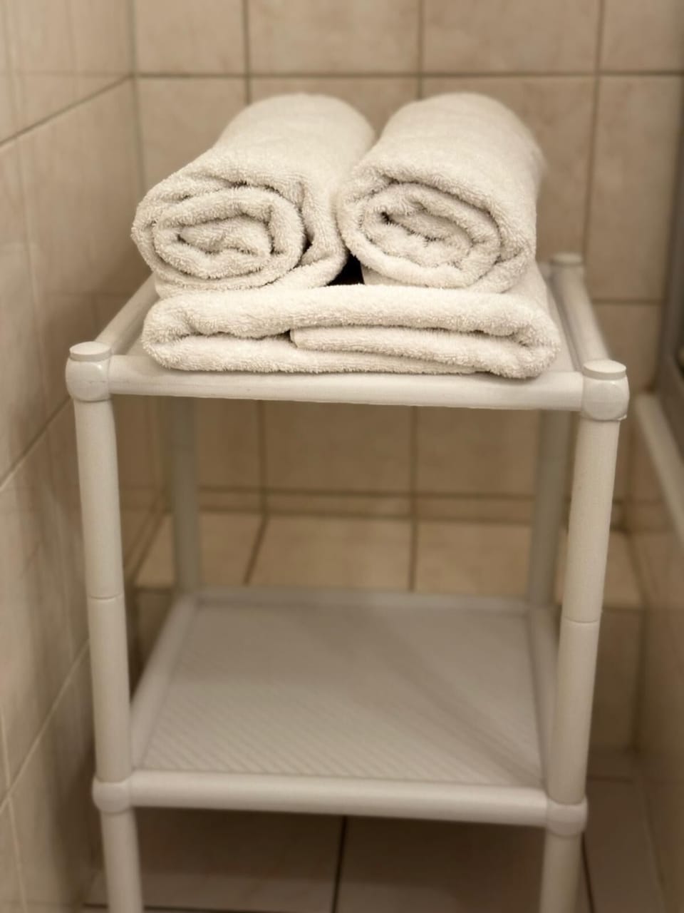 Standard Double Room | Bathroom | Shower, hair dryer, towels, soap