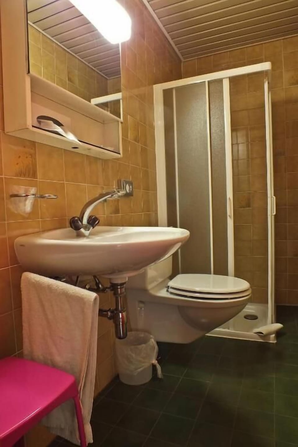 Shower, hair dryer, bathrobes, towels