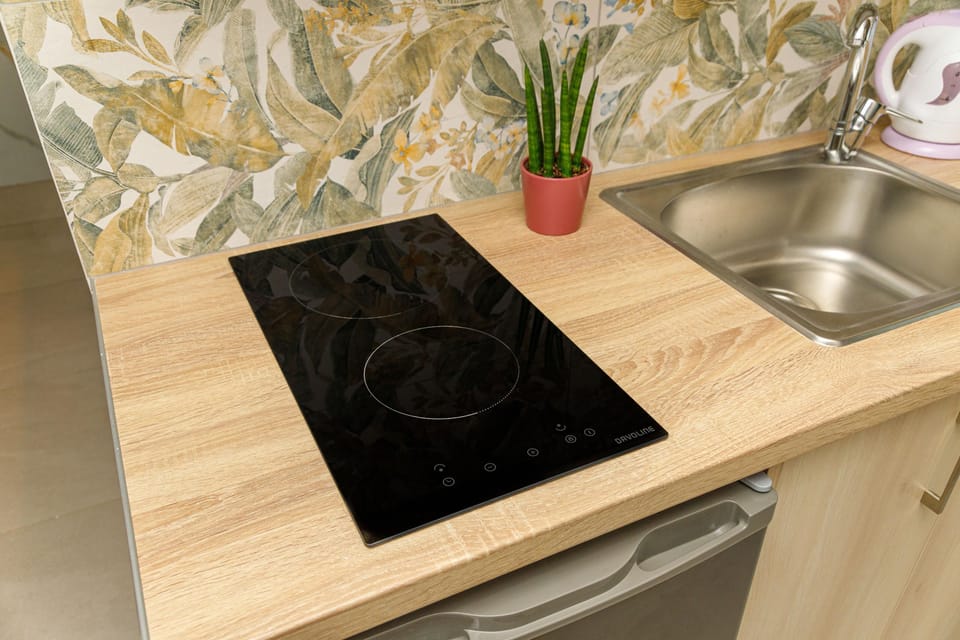 Standard Apartment | Private kitchen | Mini-fridge, toaster, cookware/dishes/utensils, paper towels