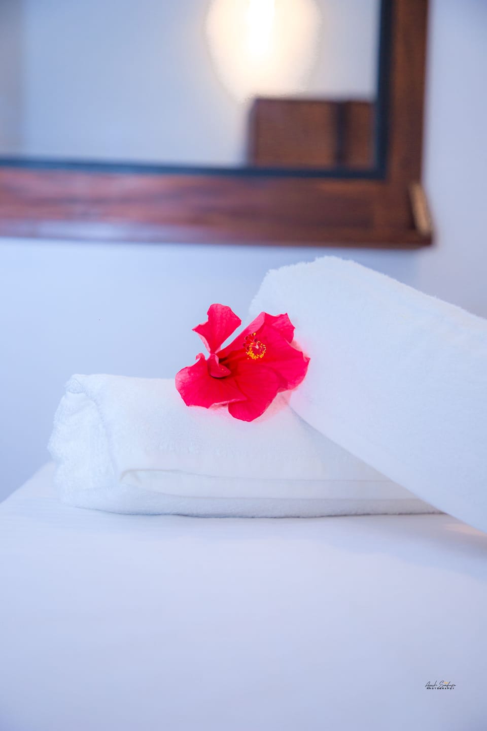 Deluxe Villa | 5 bedrooms, free WiFi, bed sheets
