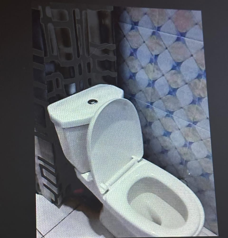 Shower, rainfall showerhead, hair dryer, slippers