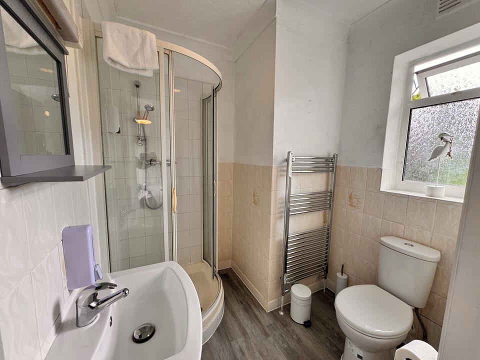 Deluxe Triple Room | Bathroom | Shower, rainfall showerhead, hair dryer, soap