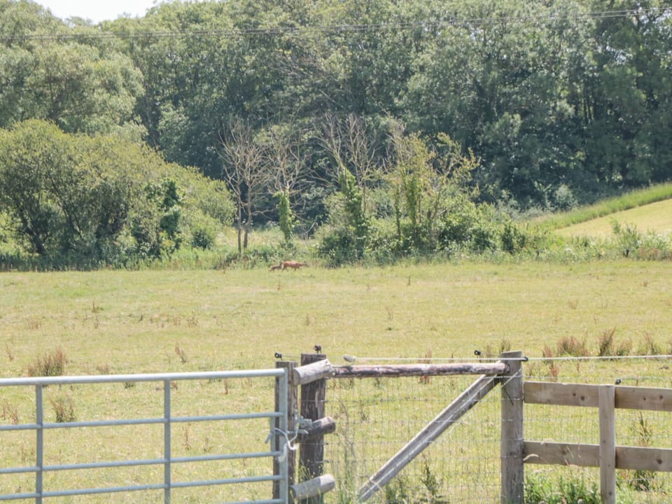 2 bedrooms, individually decorated, individually furnished, free WiFi