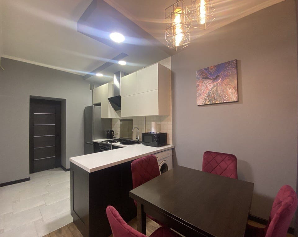 Apartment, City View | Private kitchen