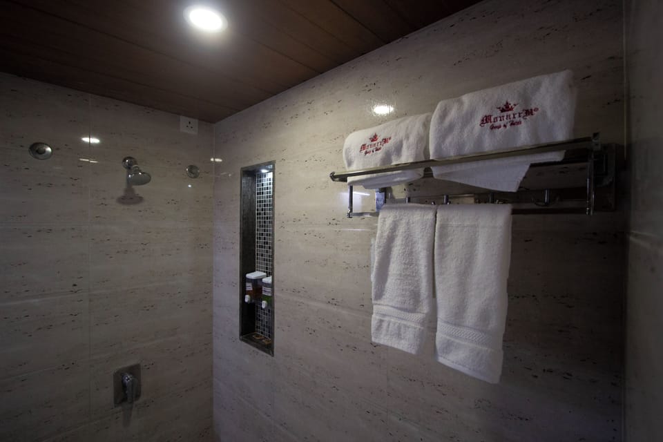Shower, free toiletries, towels