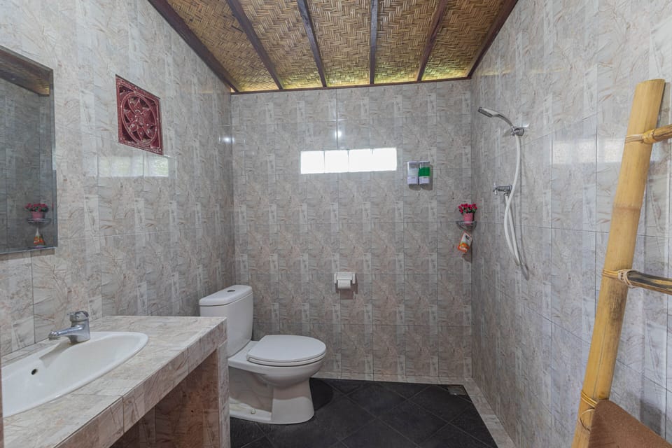 Free toiletries, bidet