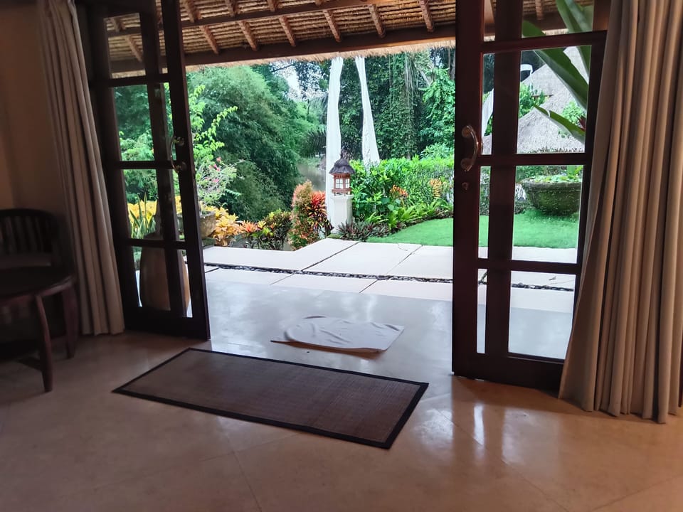 View from room