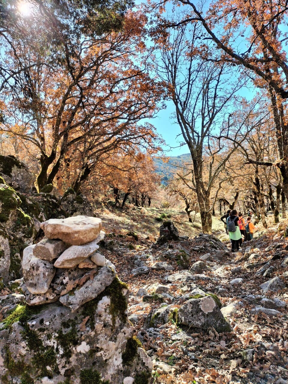 Hiking