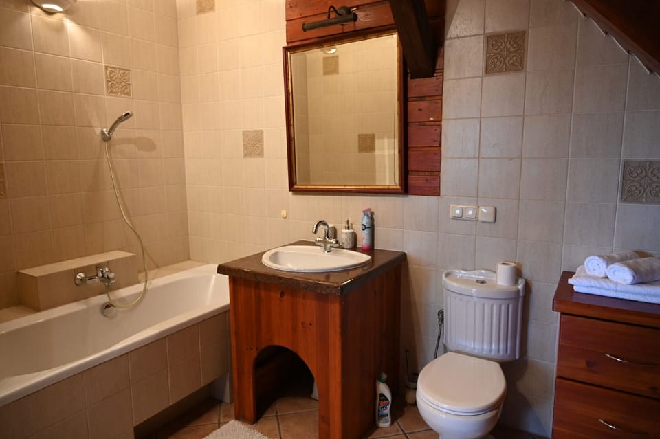 Comfort House | Bathroom | Hair dryer